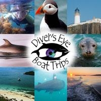 Diver's Eye Boat Trips Diver's Eye Boat Trips